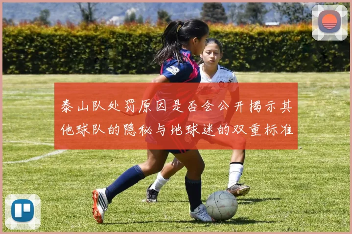 泰山队处罚原因是否会公开揭示其他球队的隐秘与地球迷的双重标准